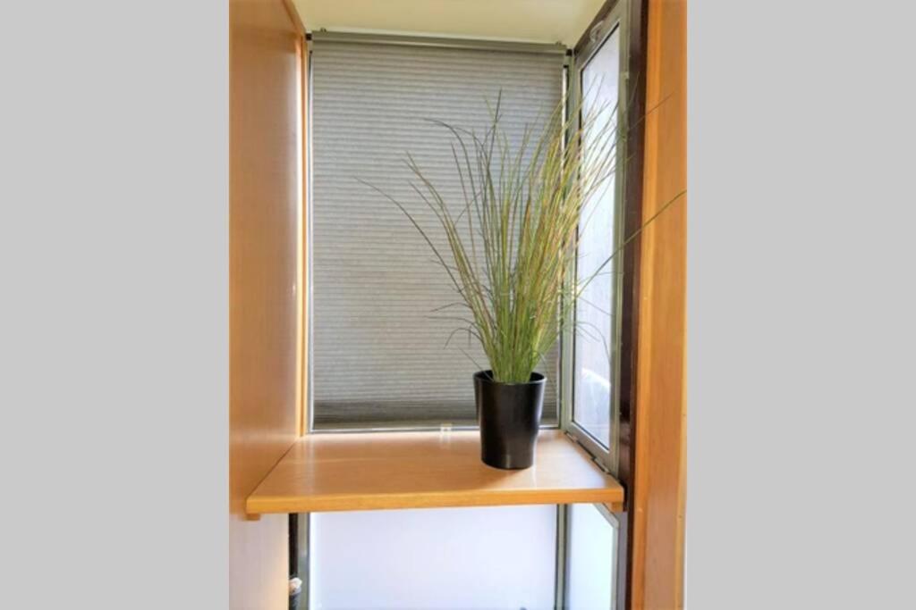 Boat House Apartment ตรีเอสเต ภายนอก รูปภาพ